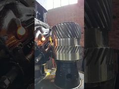 12 Módulo de transmisión helicoidal única 76 dientes para caja de engranajes